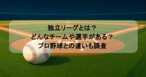 独立リーグとは?どんなチームや選手がある?プロ野球との違いも調査