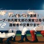 ゾンビタバコで逮捕!元カープ・羽月隆太郎の実家は母子家庭?通報者や兄貴分まで
